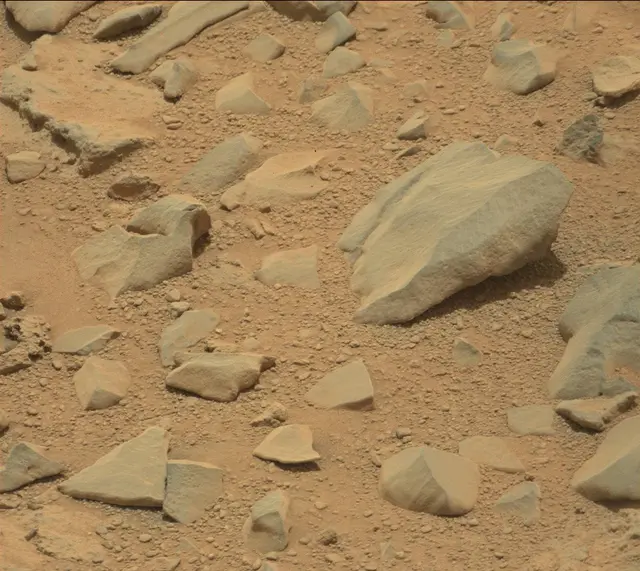 Sol 309: Mast Camera (Mastcam)