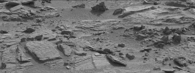 Sol 311: Mast Camera (Mastcam)