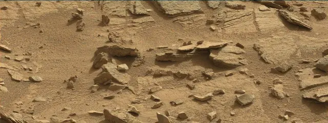 Sol 311: Mast Camera (Mastcam)