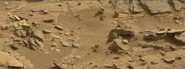 Sol 311: Mast Camera (Mastcam)
