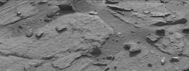 Sol 311: Mast Camera (Mastcam)