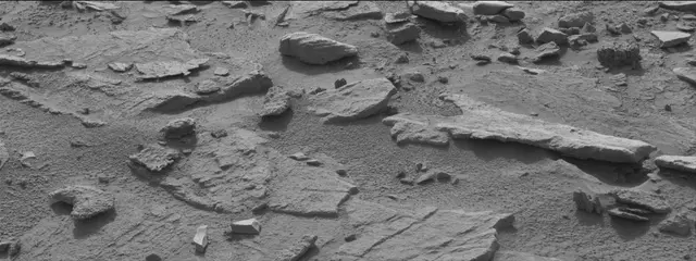Sol 311: Mast Camera (Mastcam)