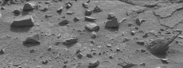 Sol 311: Mast Camera (Mastcam)