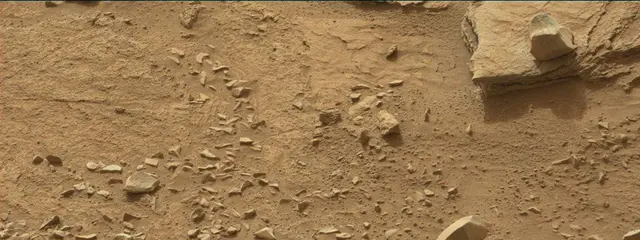 Sol 311: Mast Camera (Mastcam)