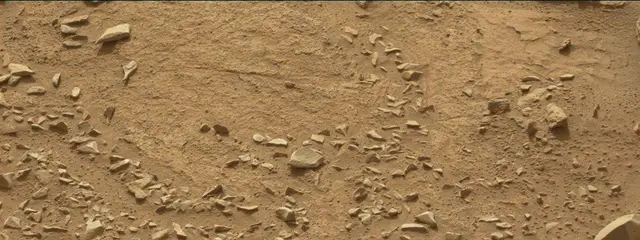 Sol 311: Mast Camera (Mastcam)