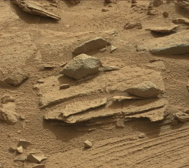 Sol 311: Mast Camera (Mastcam)