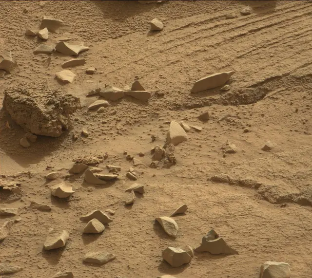 Sol 311: Mast Camera (Mastcam)