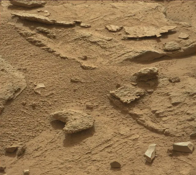 Sol 311: Mast Camera (Mastcam)