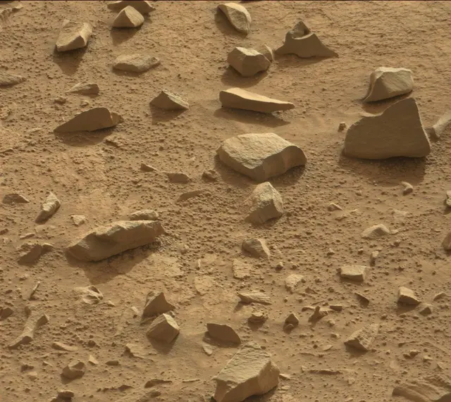 Sol 311: Mast Camera (Mastcam)