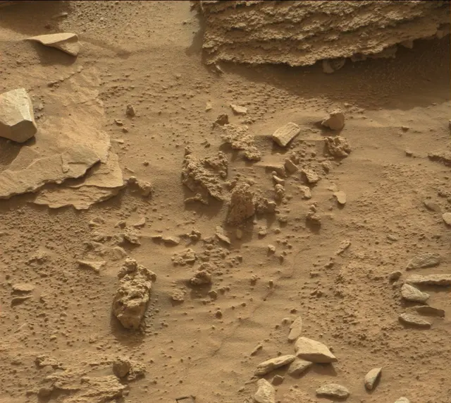Sol 311: Mast Camera (Mastcam)