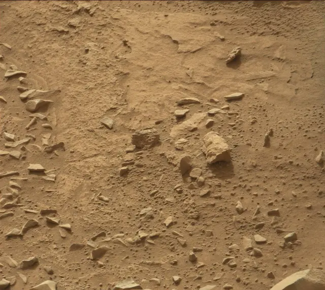 Sol 311: Mast Camera (Mastcam)