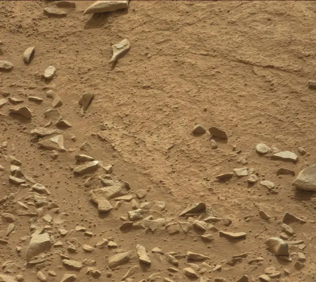 Sol 311: Mast Camera (Mastcam)