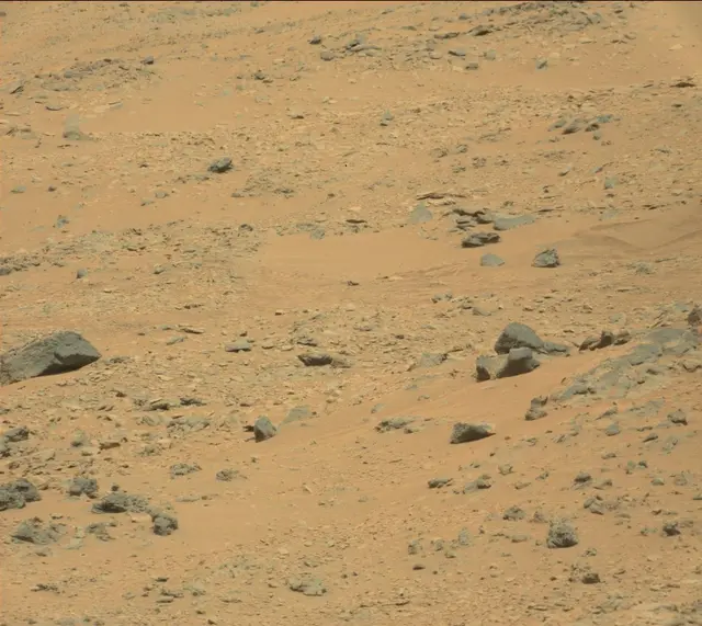 Sol 312: Mast Camera (Mastcam)