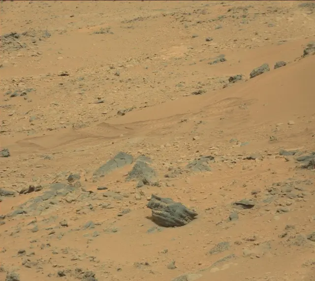 Sol 312: Mast Camera (Mastcam)