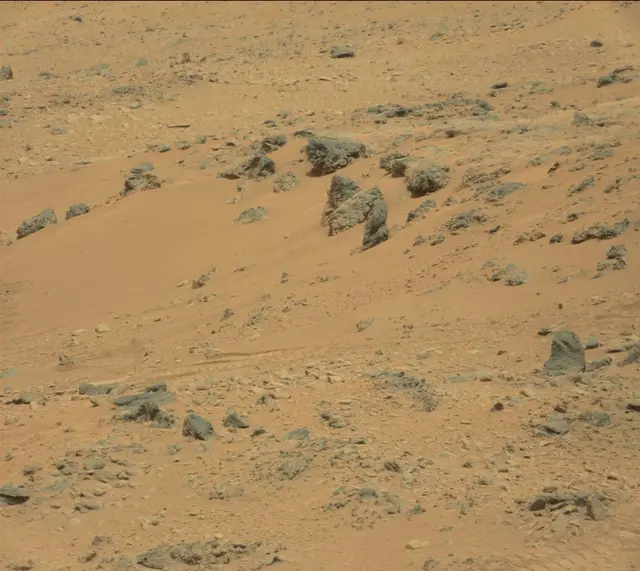 Sol 312: Mast Camera (Mastcam)