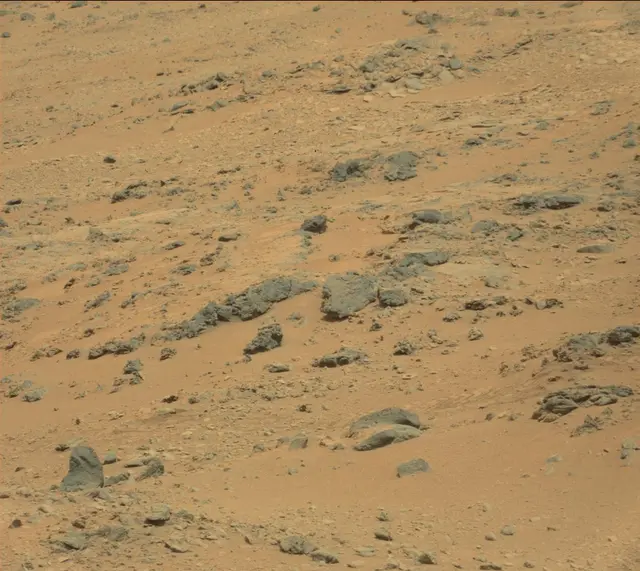 Sol 312: Mast Camera (Mastcam)