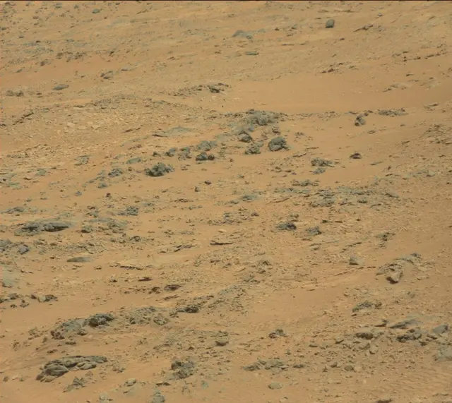 Sol 312: Mast Camera (Mastcam)