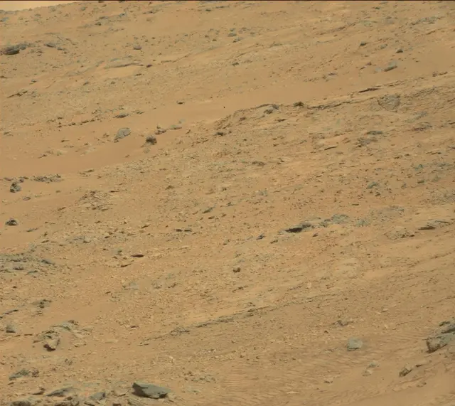 Sol 312: Mast Camera (Mastcam)