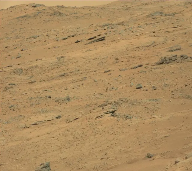 Sol 312: Mast Camera (Mastcam)