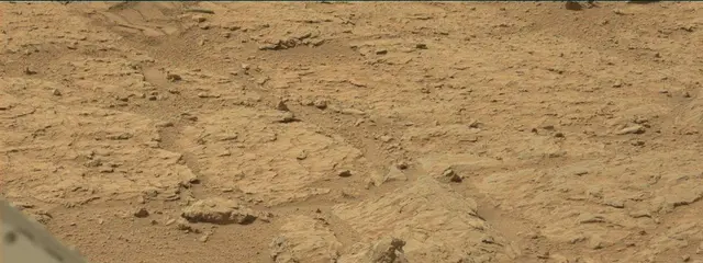 Sol 313: Mast Camera (Mastcam)