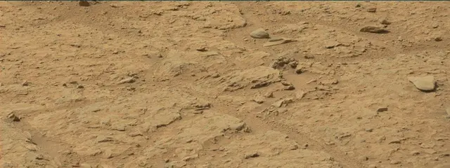 Sol 313: Mast Camera (Mastcam)