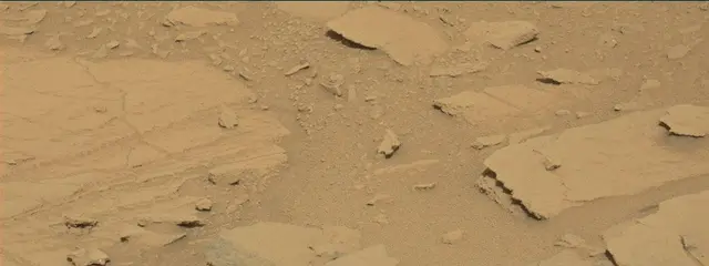 Sol 313: Mast Camera (Mastcam)
