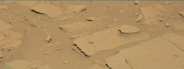Sol 313: Mast Camera (Mastcam)