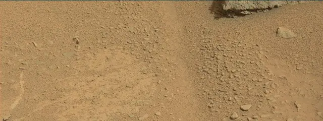 Sol 313: Mast Camera (Mastcam)