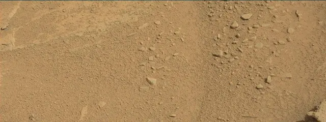 Sol 313: Mast Camera (Mastcam)