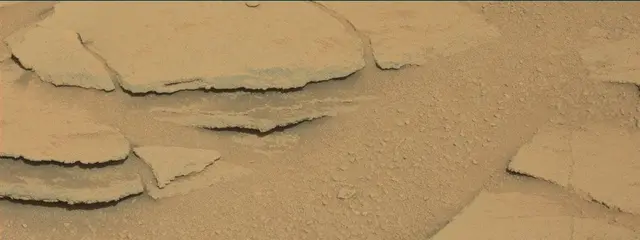 Sol 313: Mast Camera (Mastcam)