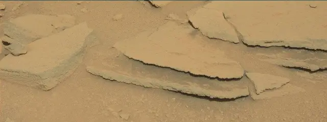 Sol 313: Mast Camera (Mastcam)