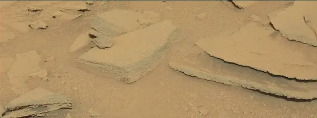 Sol 313: Mast Camera (Mastcam)