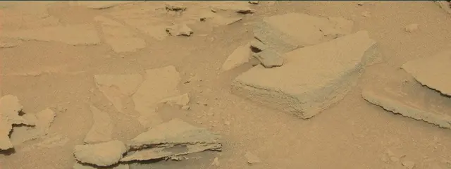 Sol 313: Mast Camera (Mastcam)