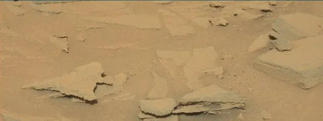 Sol 313: Mast Camera (Mastcam)