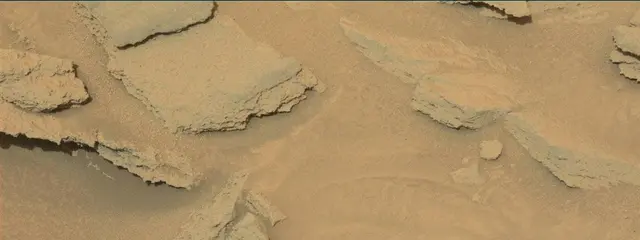 Sol 313: Mast Camera (Mastcam)