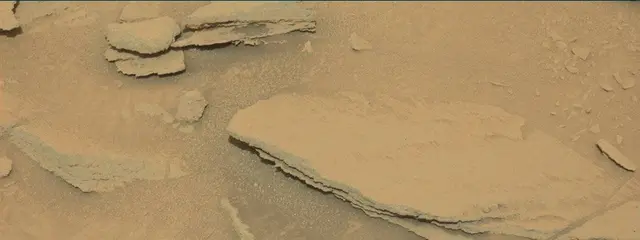 Sol 313: Mast Camera (Mastcam)