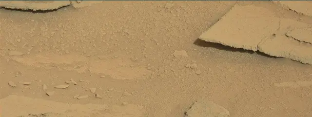 Sol 313: Mast Camera (Mastcam)
