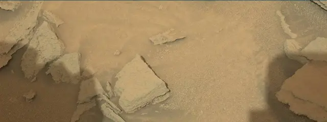 Sol 313: Mast Camera (Mastcam)