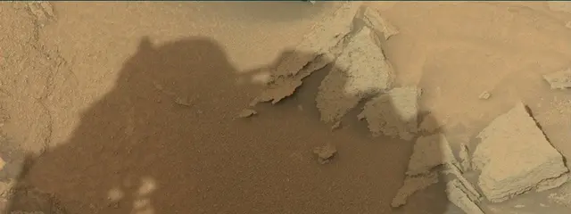 Sol 313: Mast Camera (Mastcam)