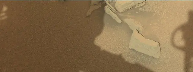 Sol 313: Mast Camera (Mastcam)