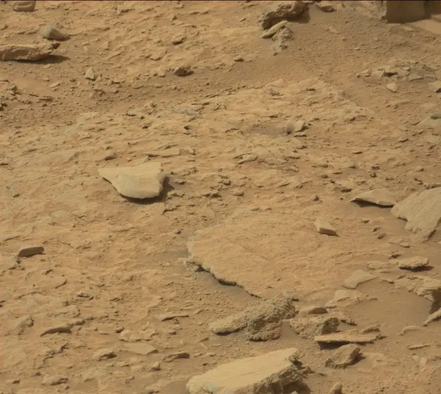 Sol 313: Mast Camera (Mastcam)