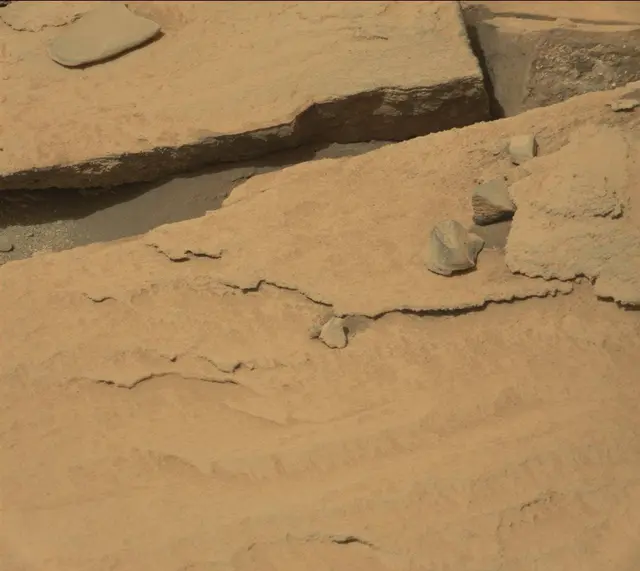 Sol 313: Mast Camera (Mastcam)
