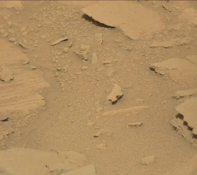 Sol 313: Mast Camera (Mastcam)