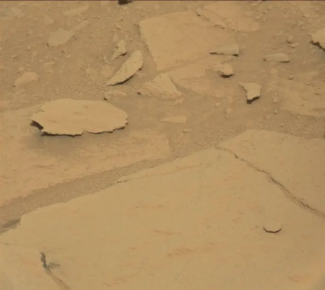 Sol 313: Mast Camera (Mastcam)