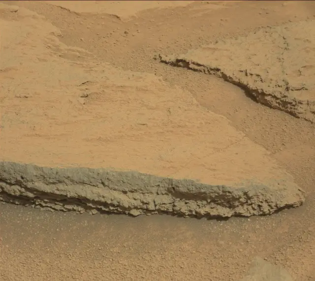 Sol 313: Mast Camera (Mastcam)