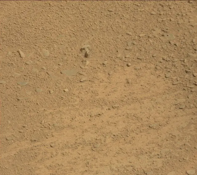 Sol 313: Mast Camera (Mastcam)