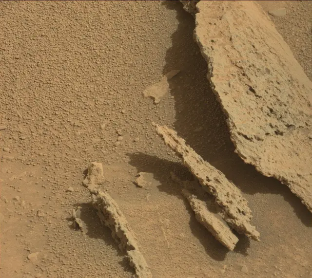 Sol 313: Mast Camera (Mastcam)