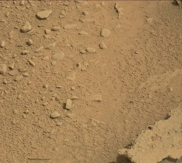 Sol 313: Mast Camera (Mastcam)