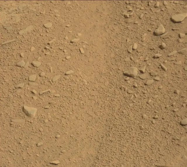 Sol 313: Mast Camera (Mastcam)