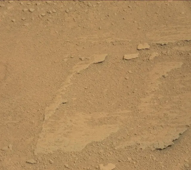 Sol 313: Mast Camera (Mastcam)